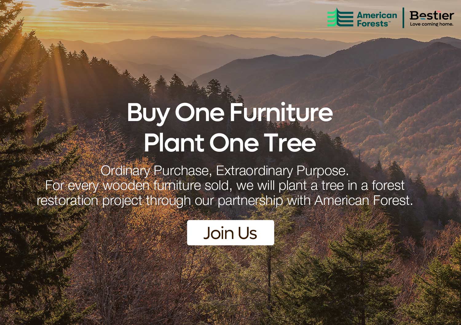 bestier modern furniture buy one plant one tree with american forest (1)
